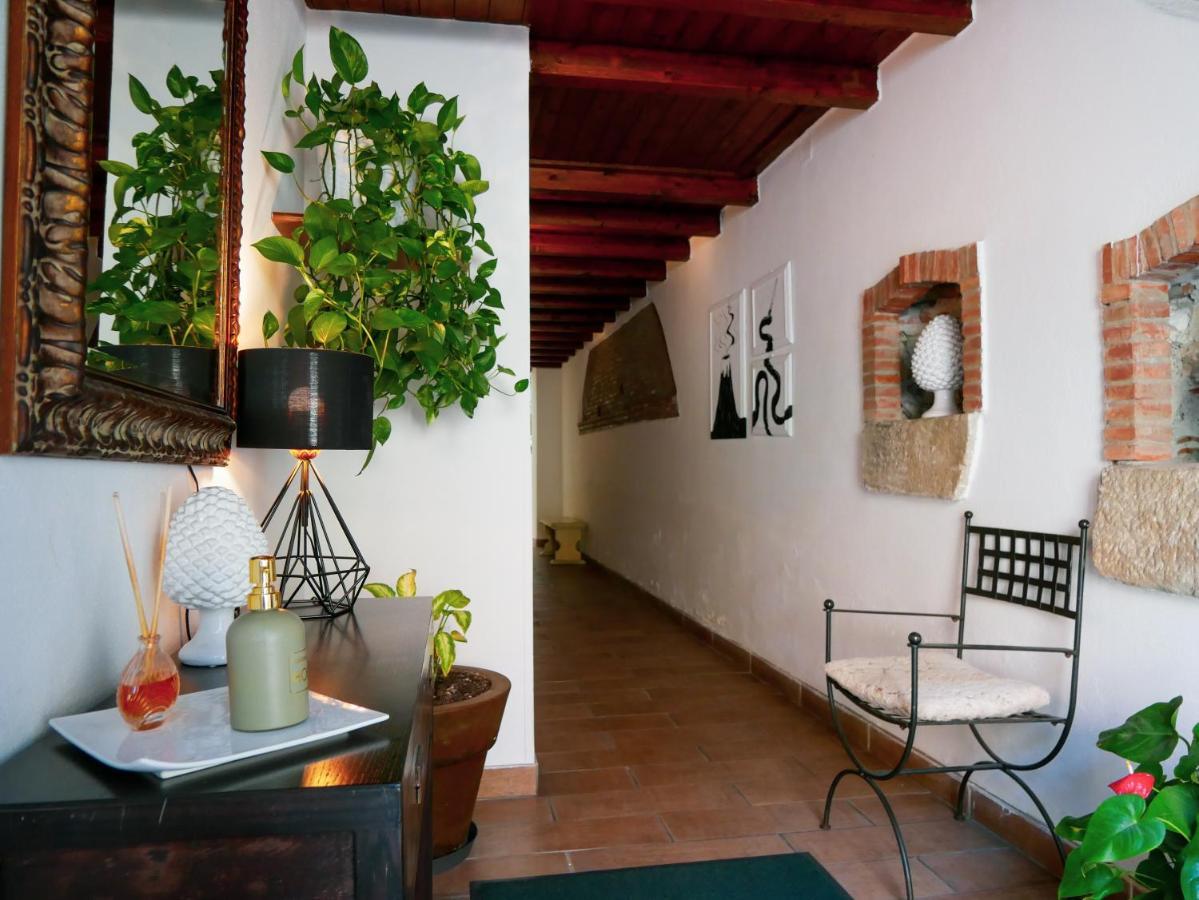 My Friend Antonia Bed and Breakfast Barcellona Pozzo di Gotto Eksteriør billede